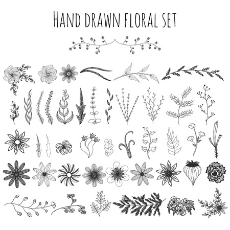 Vector set with vintage floral hand drawn flowers, twigs and leavesのイラスト素材