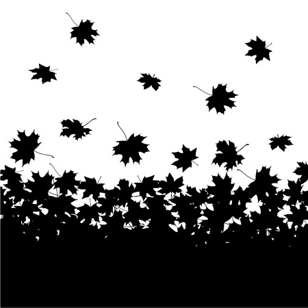 Autumn background - maple leavesのイラスト素材