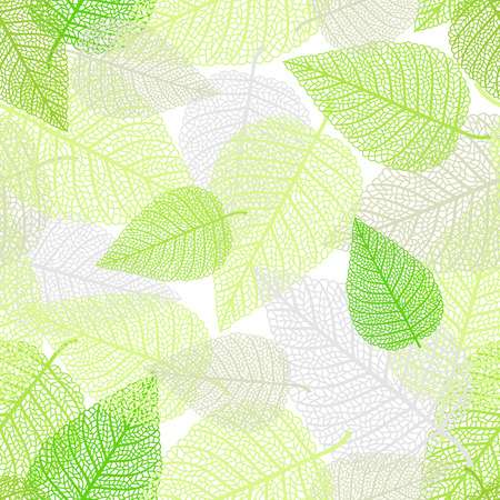 Vector seamless background with skeletons of leavesのイラスト素材