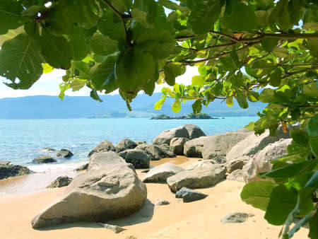 Rocks and tree on the beach of Brazilの写真素材