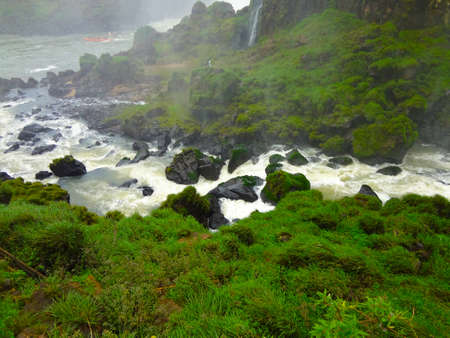 Stream between the stones surrounded by vegetationの写真素材