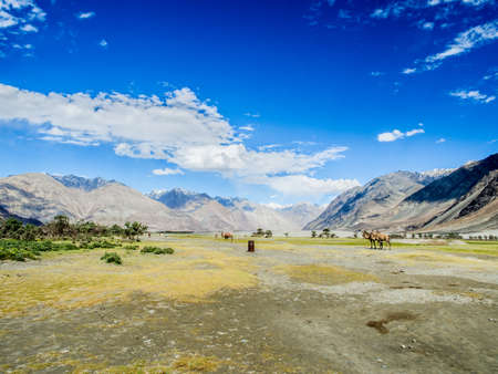 Beautiful mountain near Hunder Sand Dunes , the high altitude deserts in the worldの写真素材