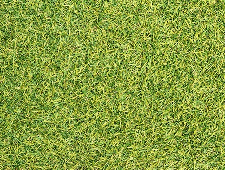 Green artificial grass texture backgroundの写真素材