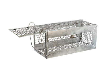 Mousetrap (rat cage) isolated on white backgroundの写真素材