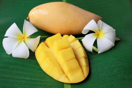 Ripe yellow mango cubes  on green banana leaf backgroundの写真素材