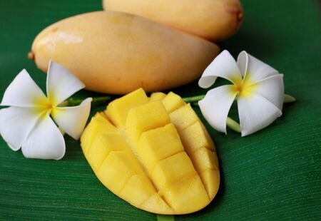 Tropical fruits,  yellow mango cubes on green banana leaf backgroundの写真素材