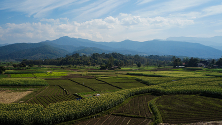 farmland and blue skyの写真素材
