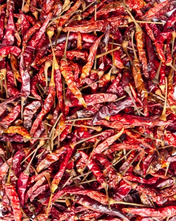 Dry red chili pepper can use as background の写真素材