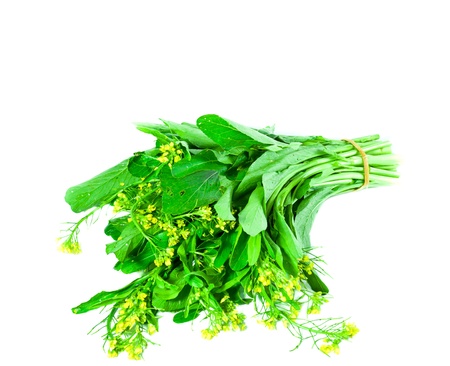 Choy sum, a kind of chinese vegetable の写真素材
