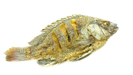 fried fish on white background