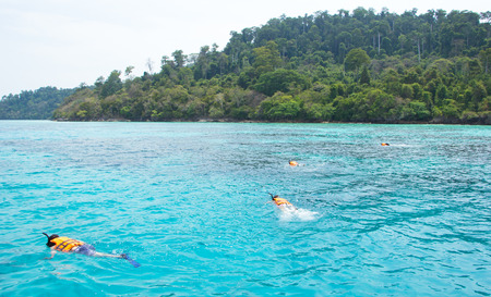 Krabi ,Thailand-April 12, 2015 : Tourists snorkeling in clear water  at Koh Rok island, Krabi Thailandのeditorial素材