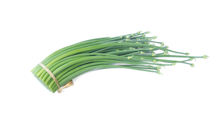 Onion flower  on white backgroundの写真素材