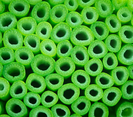 Cross section of green plant backgroundの写真素材