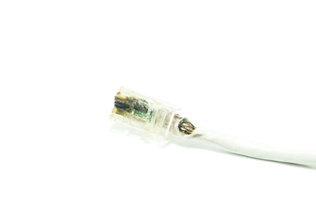 LAN connector on white background, RJ45 connector, Network equipment