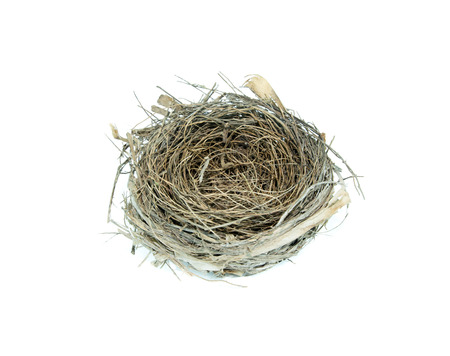 empty bird nest on white backgroundの写真素材