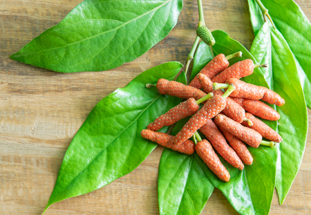 Fresh long pepper or Indian long pepper on wood background, spices and herbsの写真素材