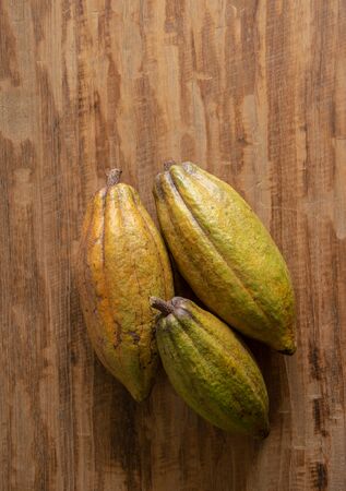 Cocoa pods  on wood  backgroundの写真素材