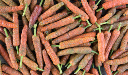 close up long pepper, Long peper backgroundの写真素材