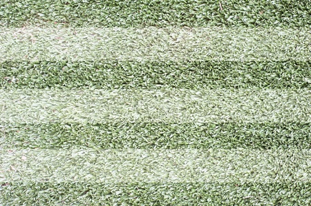 Grass for background ,texture and patten の写真素材