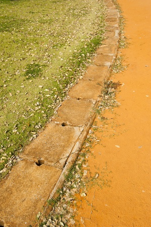 Leafs on grass and land for background の写真素材