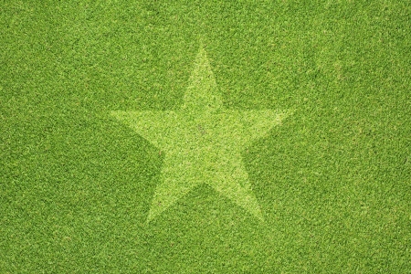 Star on green grass texture and  backgroundの写真素材