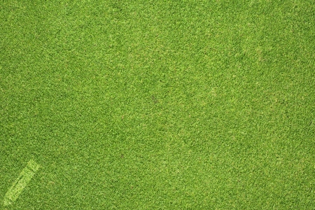 Pencil icon on green grass texture and  backgroundの写真素材