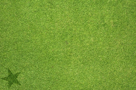 Star icon on green grass texture and  backgroundの写真素材