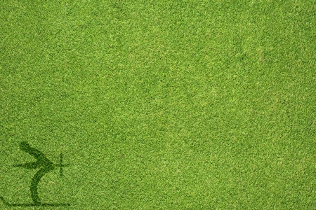 Sport ski on green grass texture and  backgroundの写真素材