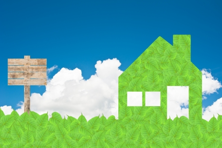 Home of green leaf texture and  backgroundの写真素材