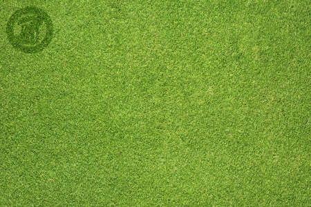 Label trash on green grass backgroundの写真素材