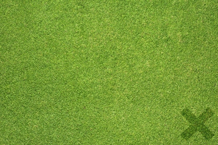Label icon on green grass texture and background の写真素材