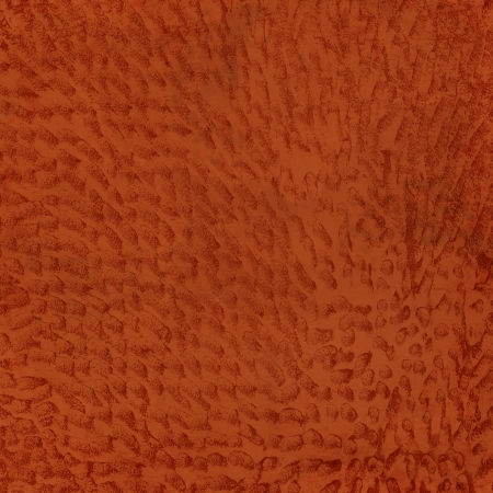 Grunge texture and backgroundの写真素材