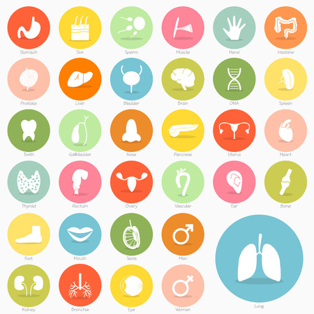 Body icon short shadow designのイラスト素材