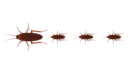 cockroach cartoon vector. free space for text. wallpaper.のイラスト素材