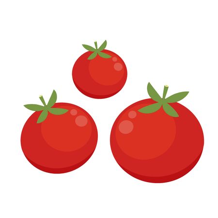 Tomato vector. Tomato on white background. Tomato logo design.のイラスト素材