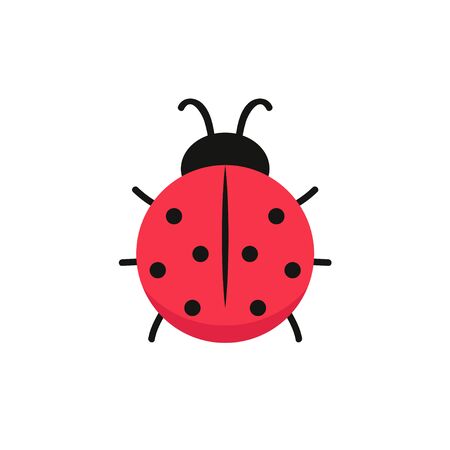 ladybug vector. ladybug on white background. wallpaper. symbol.のイラスト素材