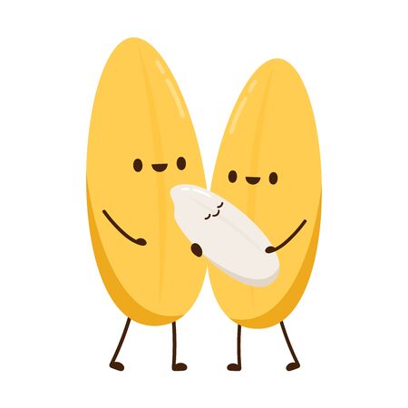 Rice character design. rice vector on white background. rice seed.のイラスト素材
