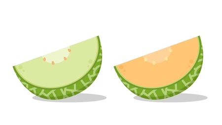 melon vector. melon on white background. wallpaper. free space for text.のイラスト素材