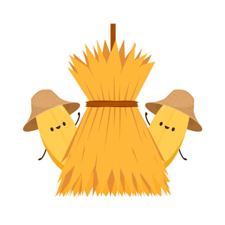 Rice character design. rice vector on white background. rice seed. Wheat straw.のイラスト素材