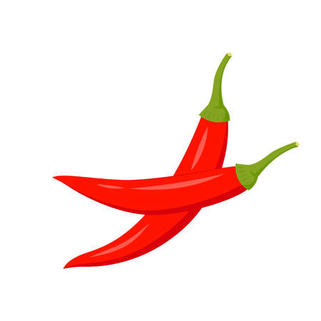 Chili cartoon vector. Chili on white background.のイラスト素材