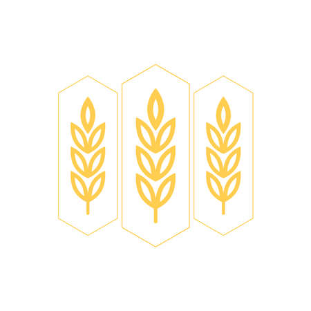 Wheat logo design. Oat symbol vector.のイラスト素材