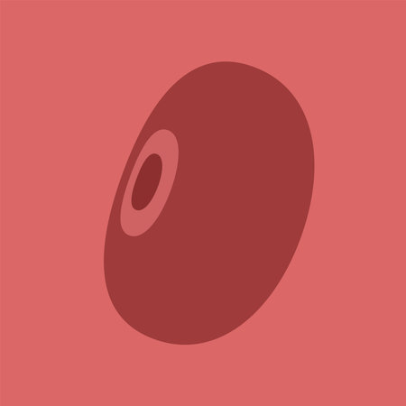 Kidney bean icon vector. Kidney bean logo design.