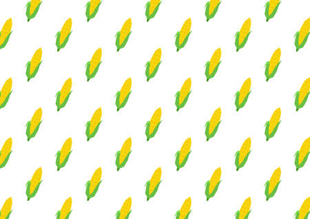 Corn vector. Corn pattern wallpaper. Corn on white background.のイラスト素材