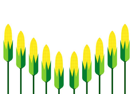 Corn on white background. Corn pattern wallpaper. Corn frame.のイラスト素材