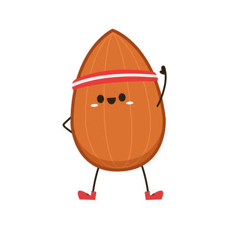 Almond vector. Almond character design. Almond on white background.のイラスト素材