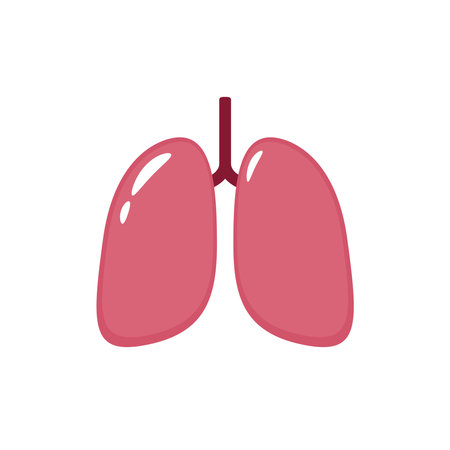 Lungs icon vector. Lungs - human internal organ. Illustration of human lungs. internal organs...