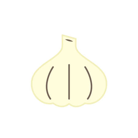 Garlic vector. Garlic logo design. Garlic symbol.のイラスト素材