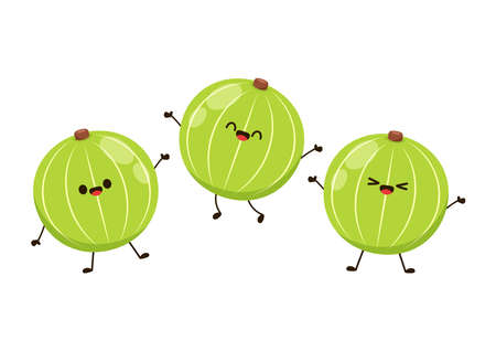 Amla cartoon mascot. Indian gooseberry fruits or Amla (phyllanthus emblica) indain fruit vector icon illustration on white background. Indian gooseberry, amla berries and amla.のイラスト素材