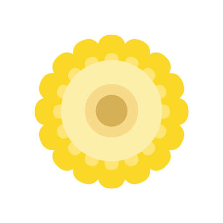 Corn icon vector. Corn on white background.のイラスト素材
