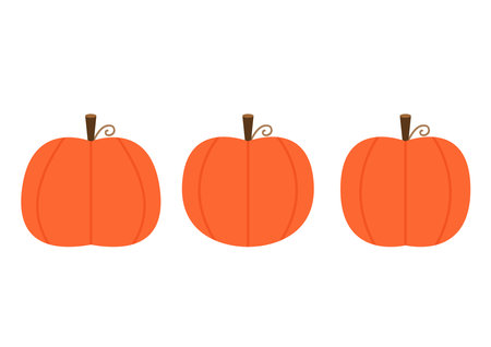 Pumpkin vector. Pumpkin on white background.のイラスト素材